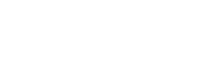 트윈전자 | Twin Electronics
